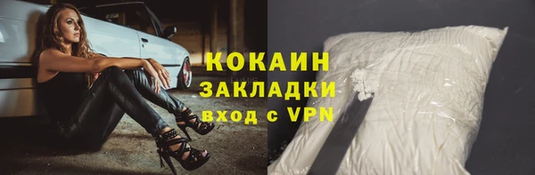 ПСИЛОЦИБИНОВЫЕ ГРИБЫ Абаза
