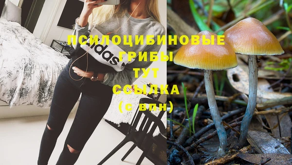 крисы Абинск