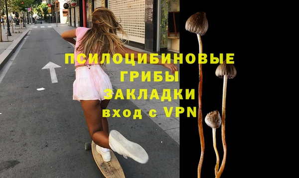 ПСИЛОЦИБИНОВЫЕ ГРИБЫ Абаза